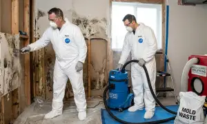 Mold remediation services for water-damaged homes in Winston-Salem, NC